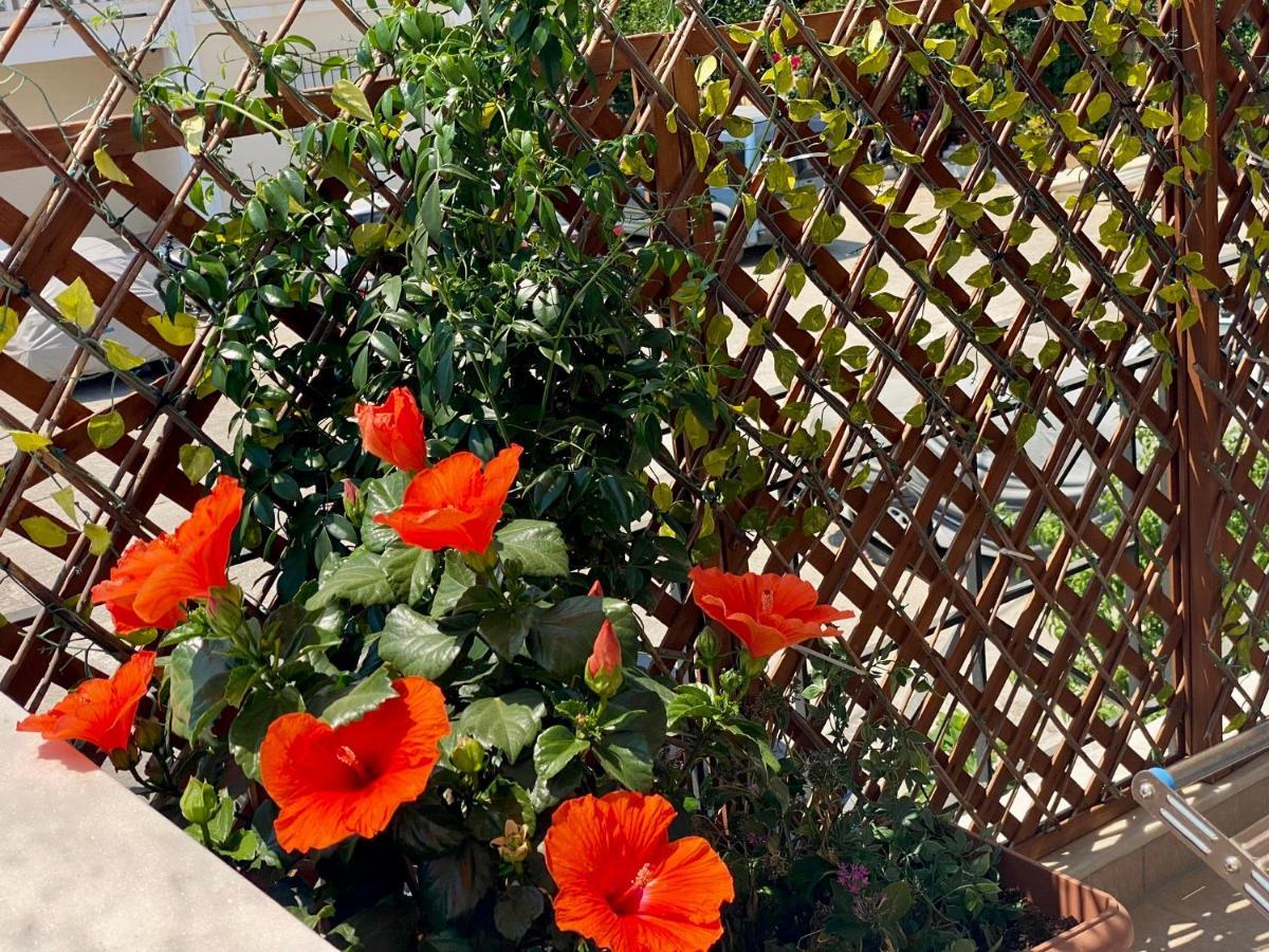 Filippos Apartments Argostoli  Esterno foto